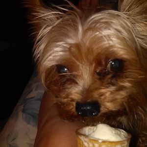 Meet your Posher, Cheryl